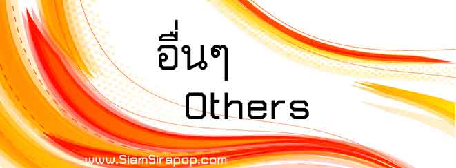 อื่น others