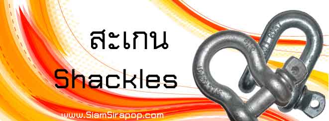 สเก็น shackle