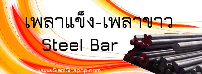 เพลาแข็ง เพลาขาว steel bar