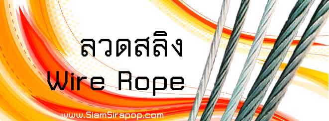 ลวดสลิง wire rope
